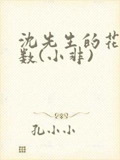 沈先生的花式调数(小非)