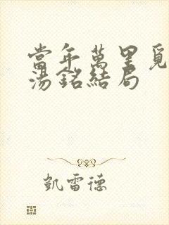 当年万里觅封侯汤铭结局封面