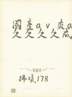 国产aⅴ爽av久久久久成人