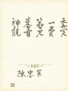 神墓第一季在线观看免费完整版高清动漫