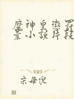 魔神皇惩罚龙皓晨小说片段封面