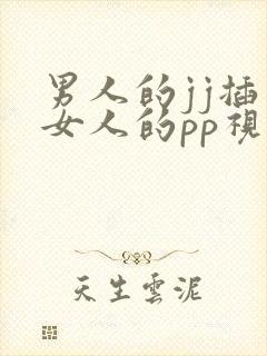 男人的jj插入女人的pp视频