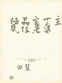 极品家丁主角有几位老婆