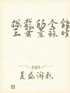 总裁的全能型兵王萧晨苏晴