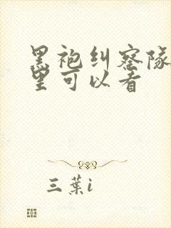 黑袍纠察队在哪里可以看