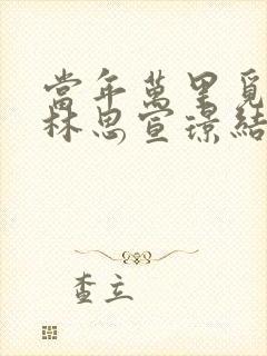 当年万里觅封侯林思宣璟结局