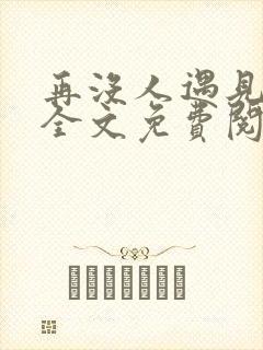 再没人遇见小说全文免费阅读封面