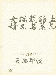 女总裁的上门女婿又名叶凡