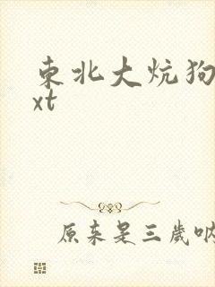 东北大炕狗儿txt