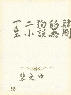 丁二狗的肆意人生小说无删减txt