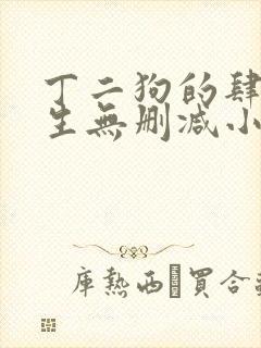 丁二狗的肆意人生无删减小说免费