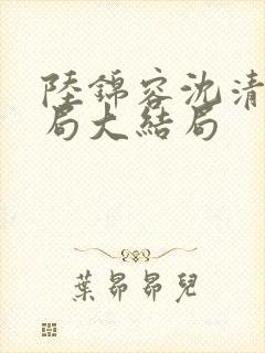 陆锦容沈清羽结局大结局