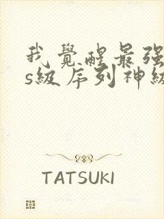 我觉醒最强sss级序列神级