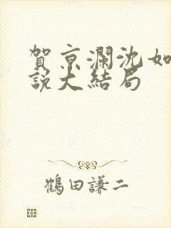 贺京澜沈如嫣小说大结局