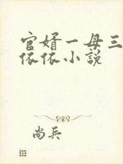 官婿一母三女柳依依小说