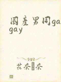 国产男同gaygay