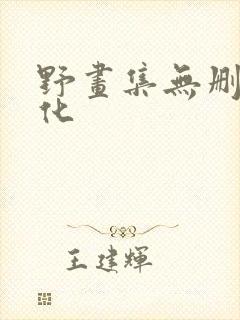 野画集无删减汉化