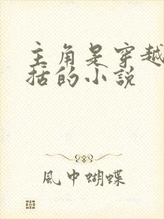 主角是穿越成赵括的小说