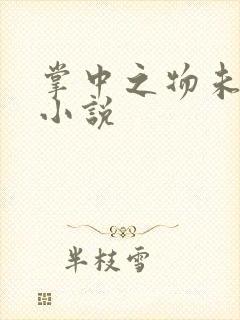 掌中之物未删减小说