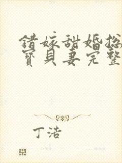 错嫁甜婚总裁的宝贝妻完整小说