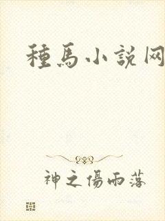 种马小说网