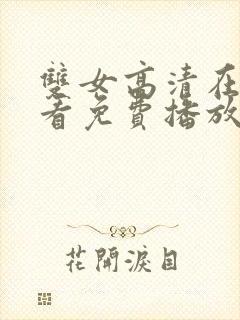 双女高清在线观看免费播放电视剧封面