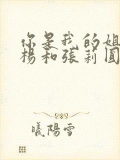 你是我的姐妹宋杨和张莉圆结局