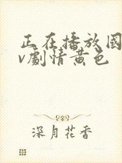 正在播放国产av剧情黄色封面