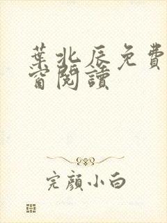 叶北辰免费无弹窗阅读