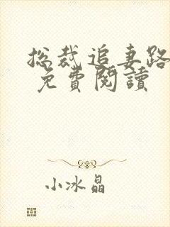 总裁追妻路漫漫 免费阅读