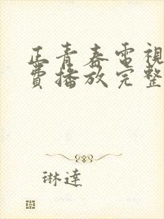 正青春电视剧免费播放完整版19集