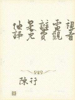 他是谁电视剧张译免费观看全集封面