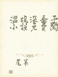 温砚深乔予安的小说免费阅读