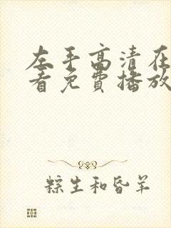 左手高清在线观看免费播放电视剧