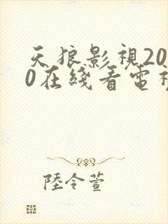 天狼影视2020在线看电视剧