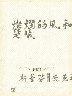 灿烂的风和海钟楚曦