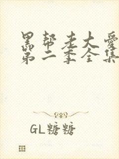 黑帮老大爱上我第二季全集高清无删减版封面