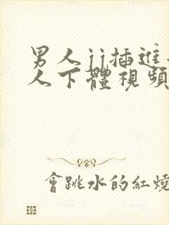 男人jj插进女人下体视频