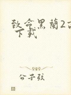 致命黑兰2高清 下载封面