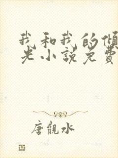 我和我的倾城时光小说免费阅读封面