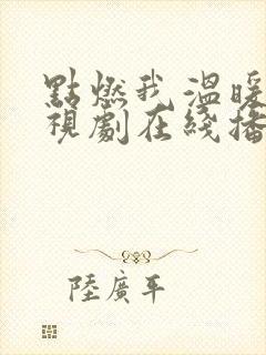 点燃我温暖你电视剧在线播放高清封面