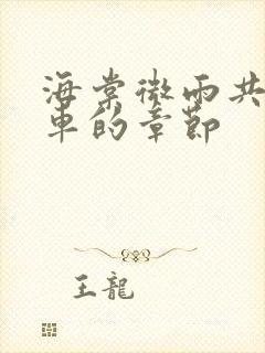 海棠微雨共归途车的章节封面