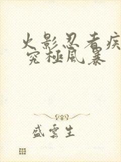 火影忍者疾风传 究极风暴