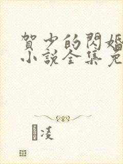 贺少的闪婚暖妻小说全集免费阅读