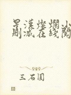 星汉灿烂小说无删减在线阅读