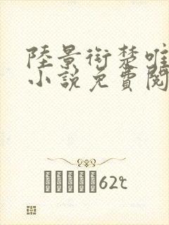 陆景衔楚唯宁的小说免费阅读最新章节封面