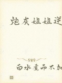 炮灰姐姐逆袭封面