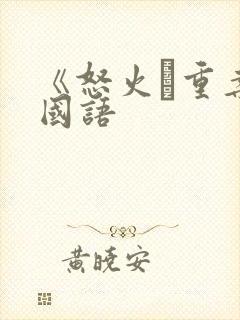 《怒火·重案》国语