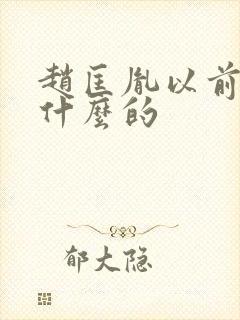 赵匡胤以前是干什么的