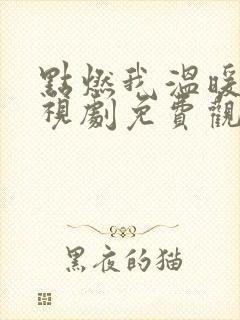 点燃我温暖你电视剧免费观看星辰影视